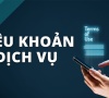 Điều Khoản & Dịch Vụ